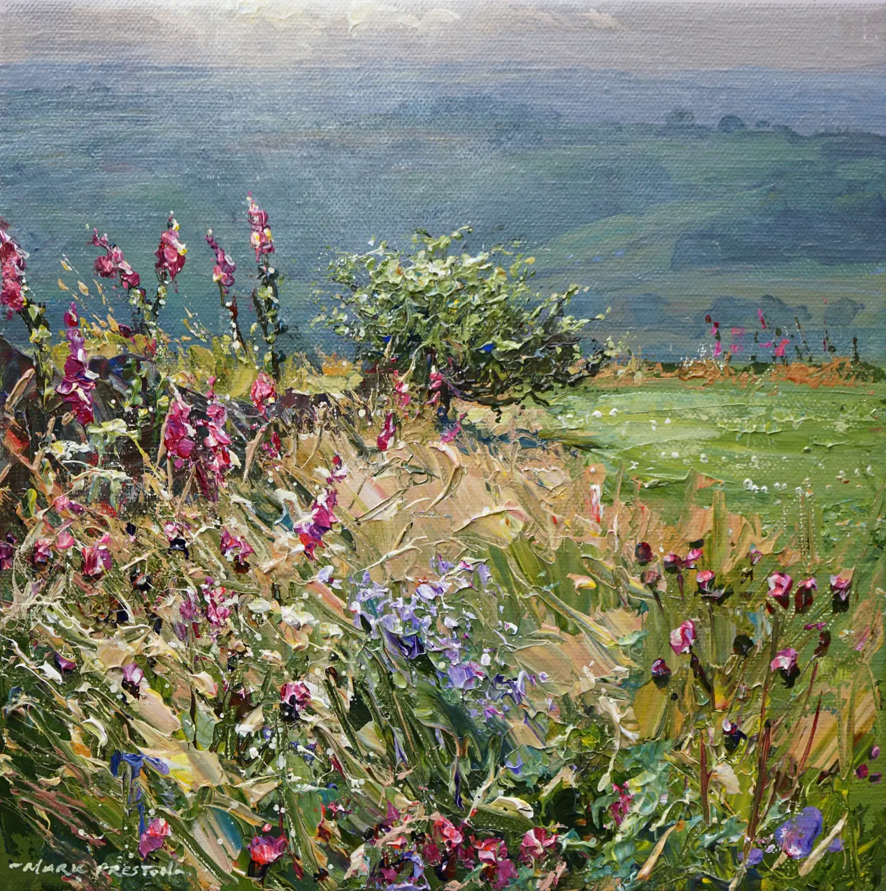 Mark Preston - sunlit hawthorn and wild flowers, ashleyhey